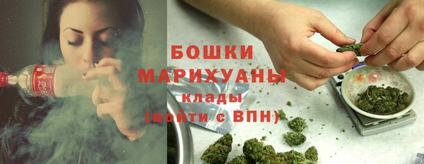 ешки Инта