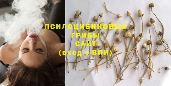 соль ск Инсар