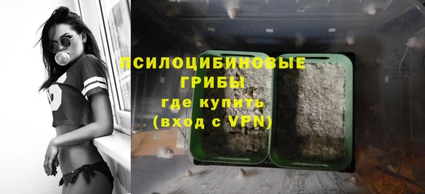 apvp Иннополис