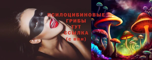 соль ск Инсар