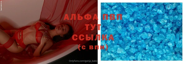 ешки Инта