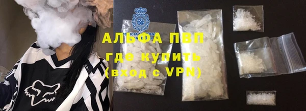 apvp Иннополис