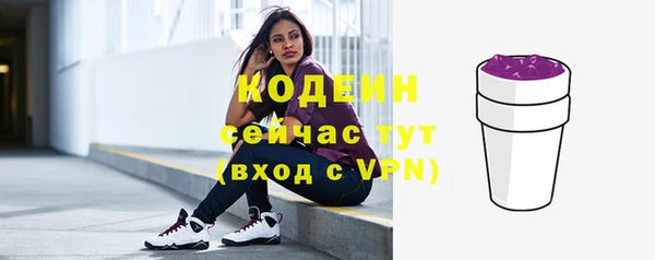 apvp Иннополис