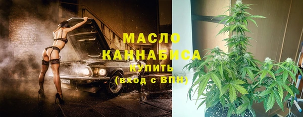 ешки Инта
