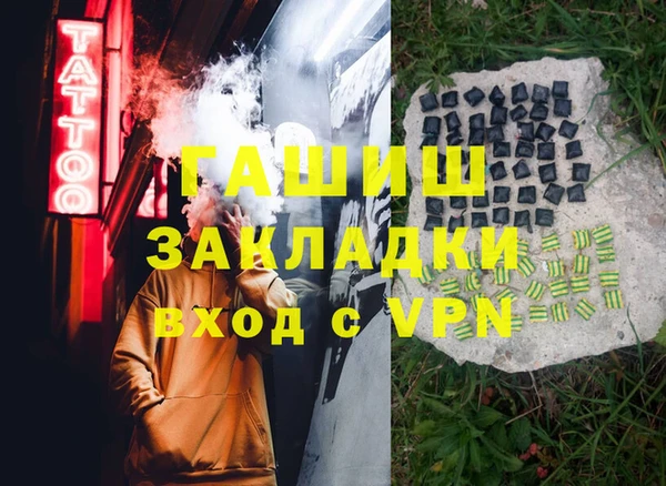 соль ск Инсар