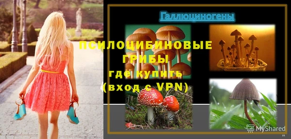ешки Инта
