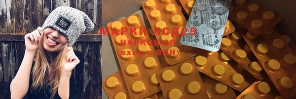 ешки Инта