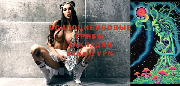 apvp Иннополис