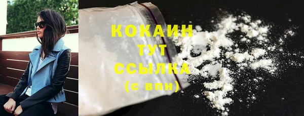 apvp Иннополис