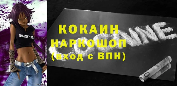 ешки Инта