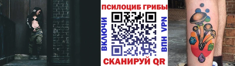 Купить закладки Холм Псилоцибиновые грибы Cubensis